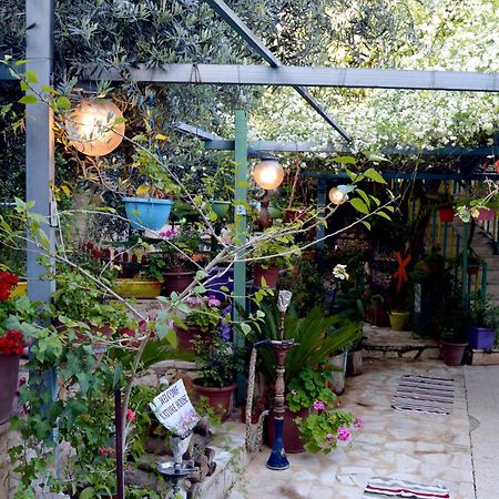 بيت الطبيعة Nature House Ceraş Dış mekan fotoğraf