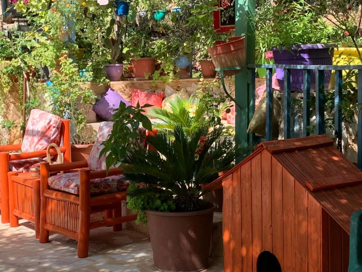 بيت الطبيعة Nature House Ceraş Dış mekan fotoğraf