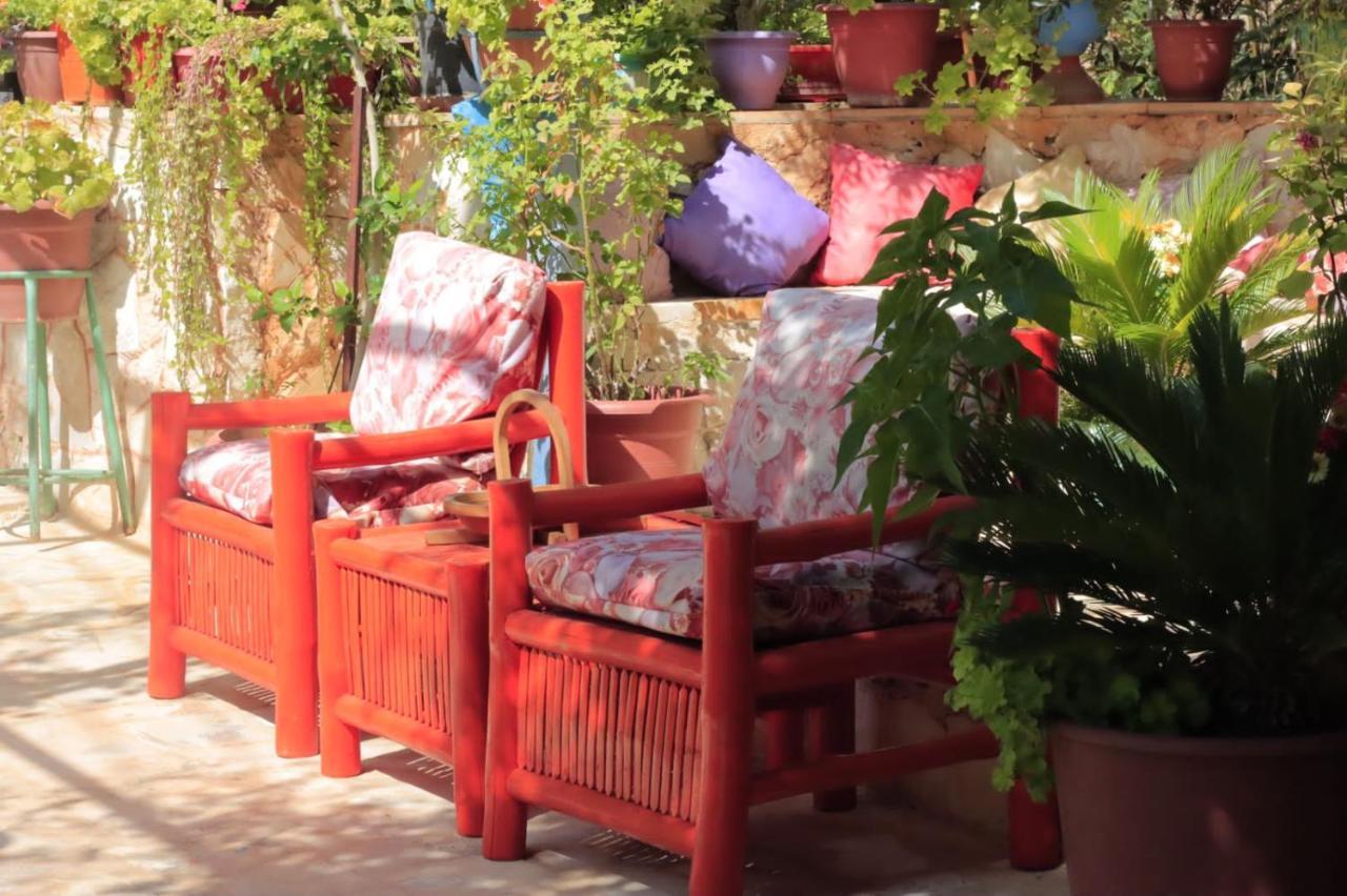 بيت الطبيعة Nature House Ceraş Dış mekan fotoğraf
