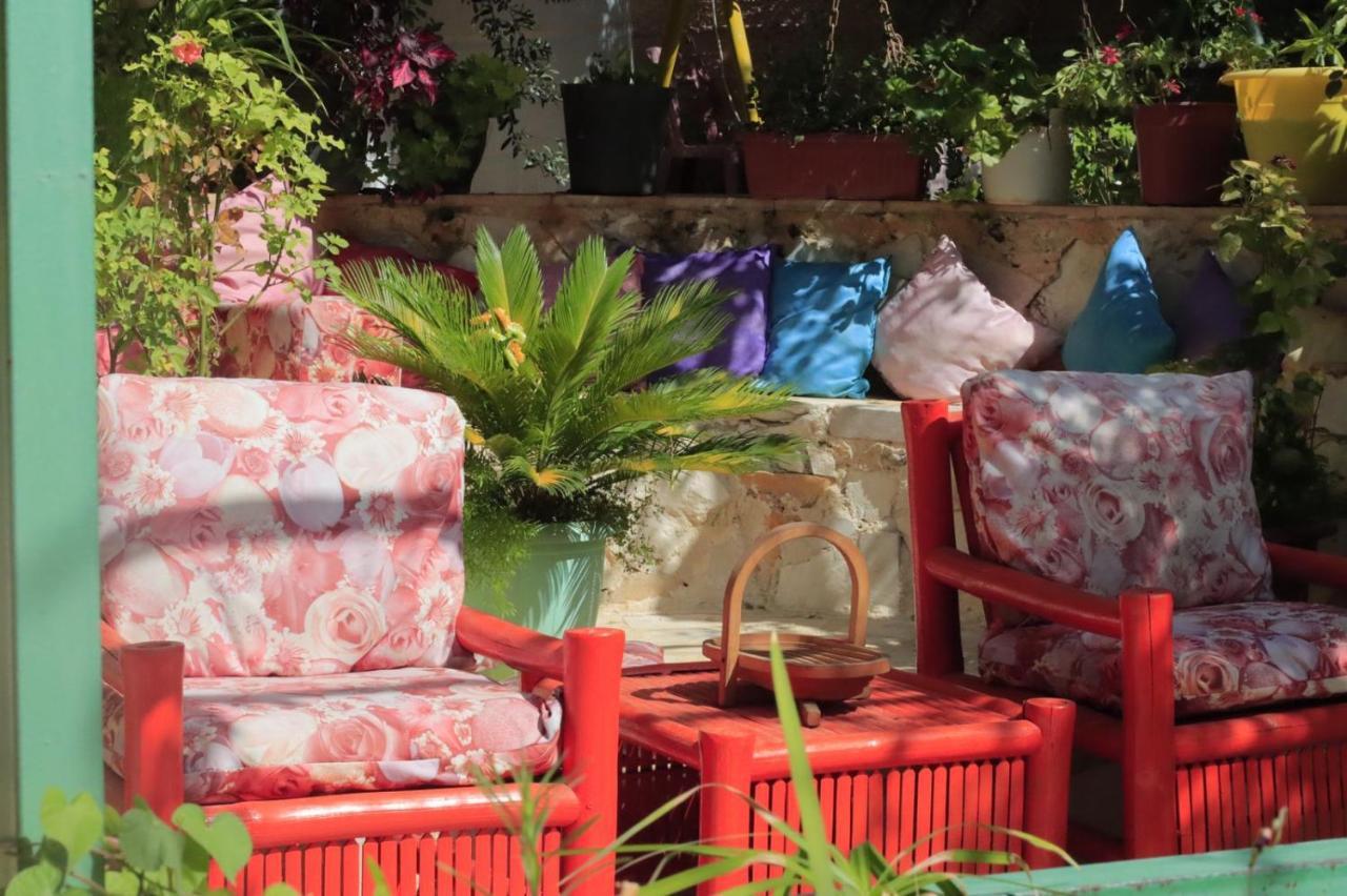 بيت الطبيعة Nature House Ceraş Dış mekan fotoğraf