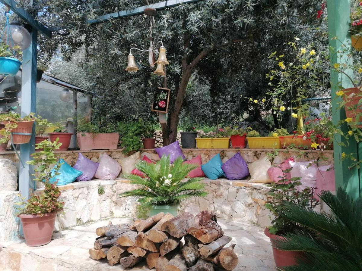بيت الطبيعة Nature House Ceraş Dış mekan fotoğraf