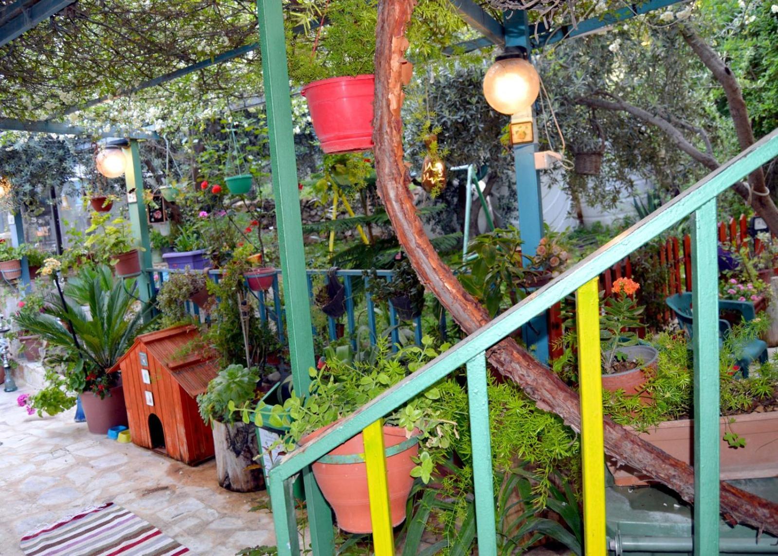 بيت الطبيعة Nature House Ceraş Oda fotoğraf