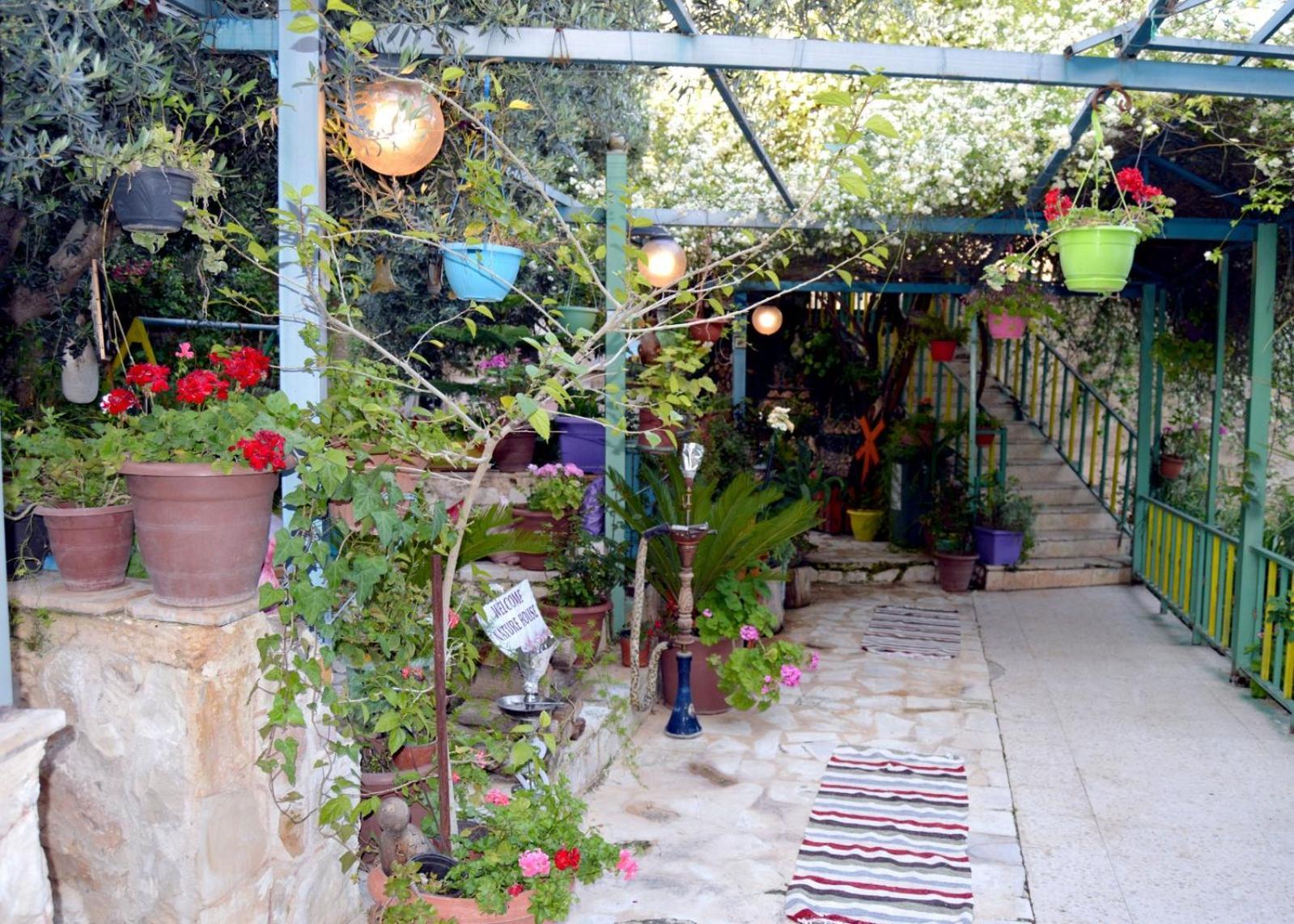 بيت الطبيعة Nature House Ceraş Oda fotoğraf