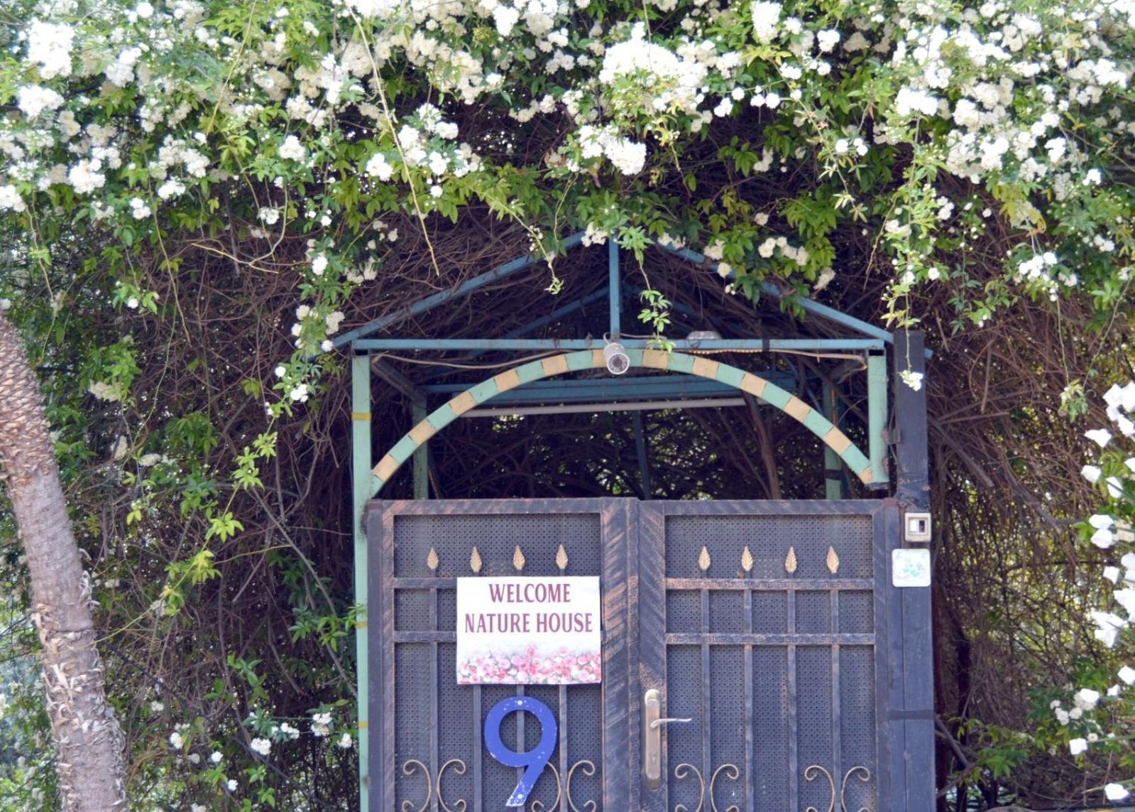 بيت الطبيعة Nature House Ceraş Oda fotoğraf