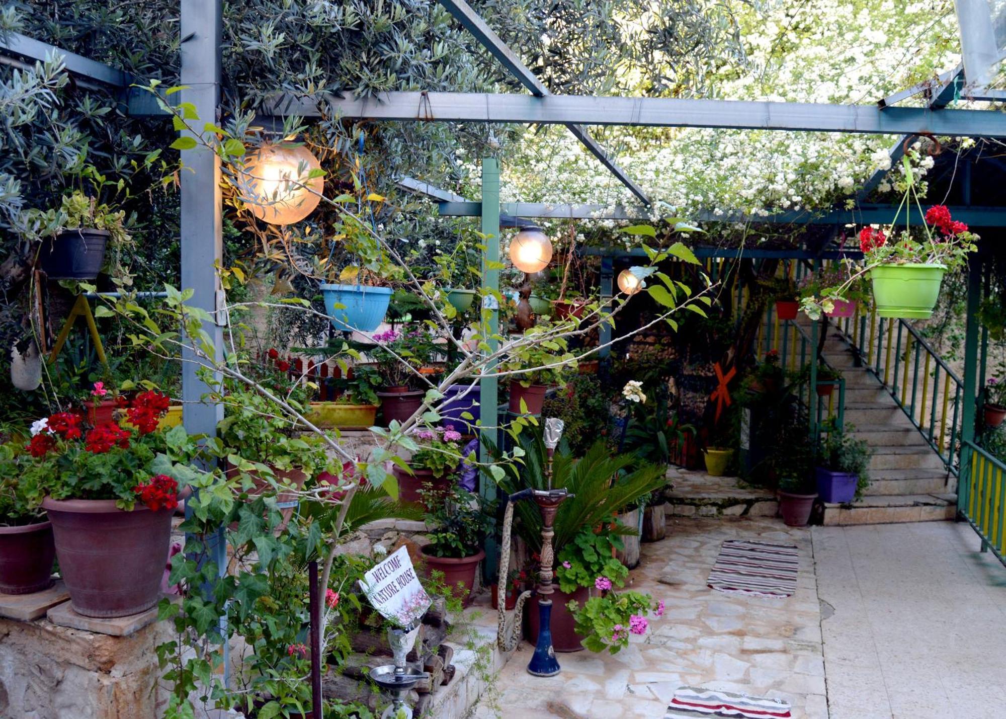 بيت الطبيعة Nature House Ceraş Dış mekan fotoğraf